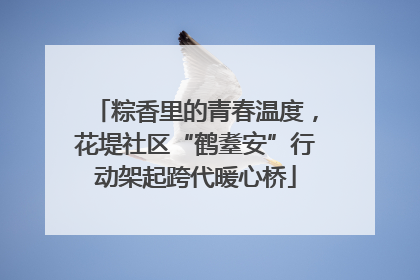 粽香里的青春温度，花堤社区“鹤耋安”行动架起跨代暖心桥